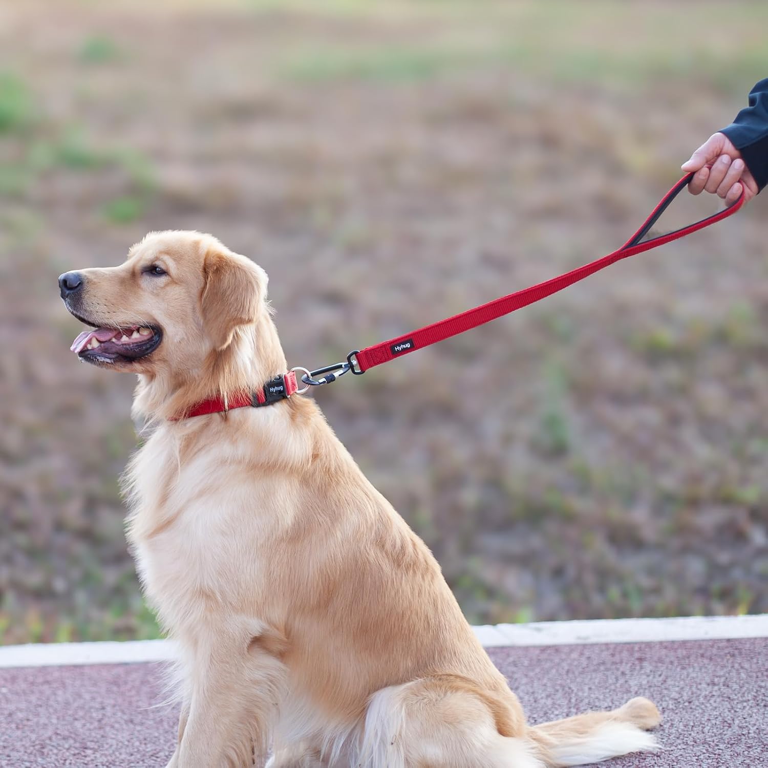 Hyhug Short Dog Leash 24", Heavy Duty Nylon with Padded Handle image 2