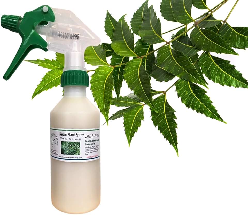 Amazon.co.uk neem oil