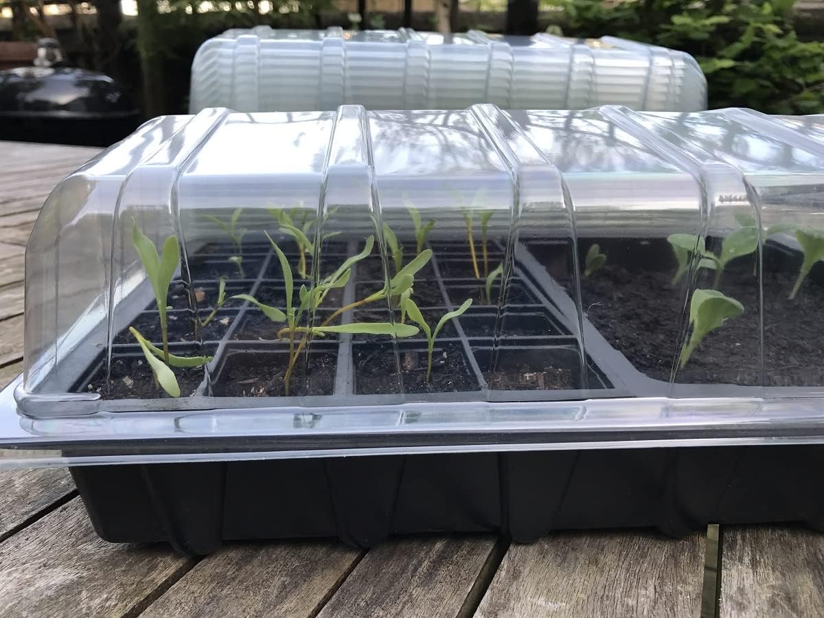 Nutley's Full-Size Heavy Duty Transparent Durable Plastic Propagator Lids for Seed Tray - (Pack of 10)