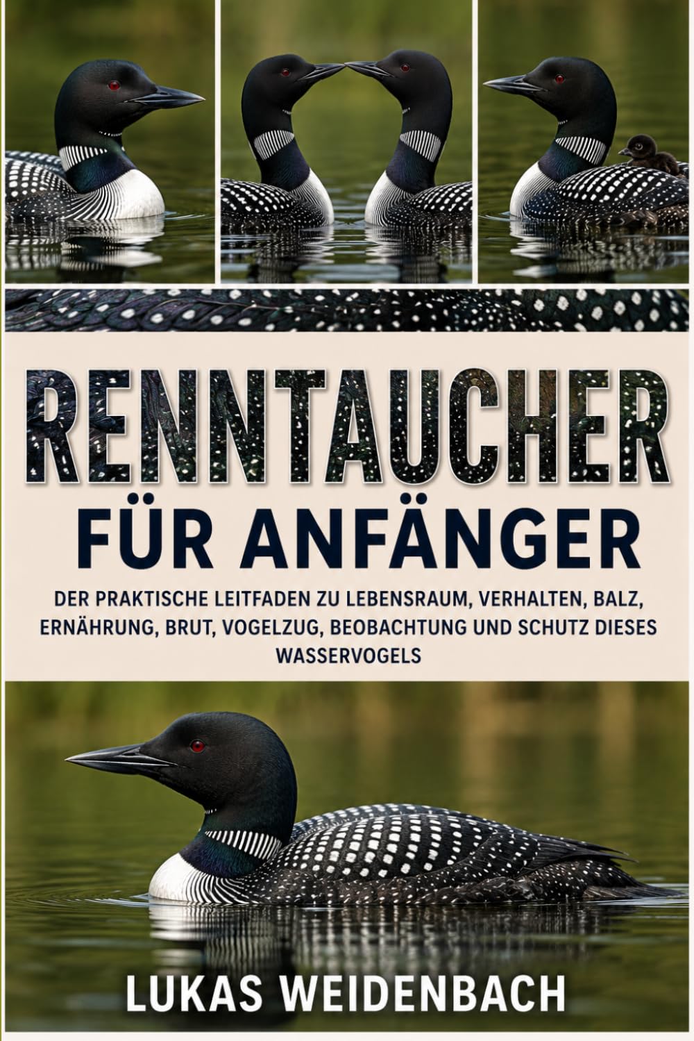 Renntaucher für Anfänger: Der praktische Leitfaden zu Lebensraum, Verhalten, Balz, Ernährung, Brut, Vogelzug, Beobachtung und Schutz dieses Wasservogels