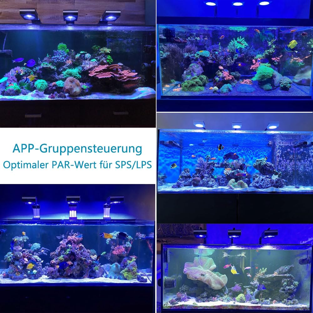NEU PopBloom RL115 WiFi Meerwasser LED Lampe 240W, Vollspektrum Led Aquarium Beleuchtung für Reef Coral SPS/LPS Fischaquarium, APP unterstützt Deutsch