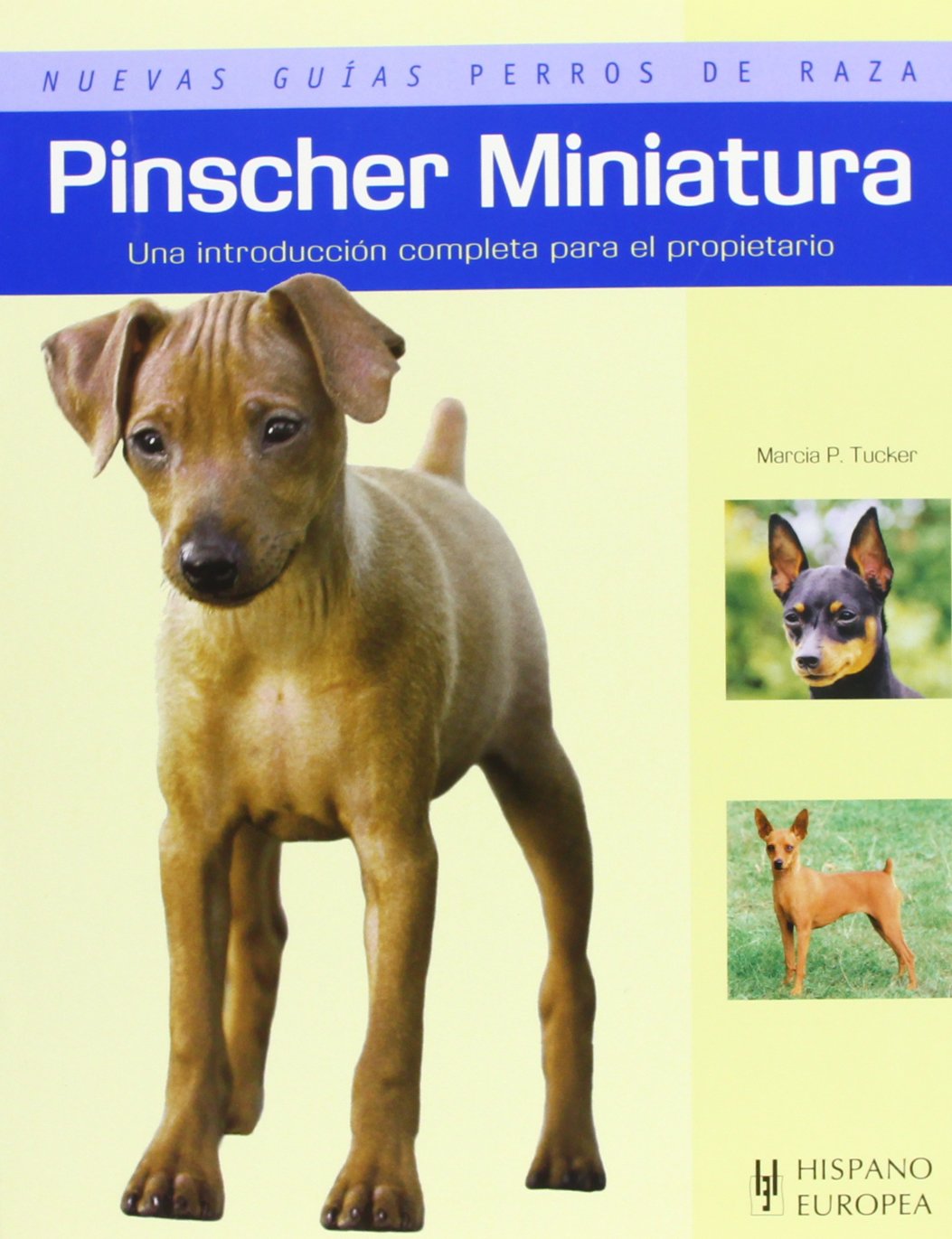 Pinscher Miniatura (Nuevas guias Perros de raza / New Guides Dog