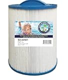 Spa-Daddy SD-00561 Filter - New Artesian 6