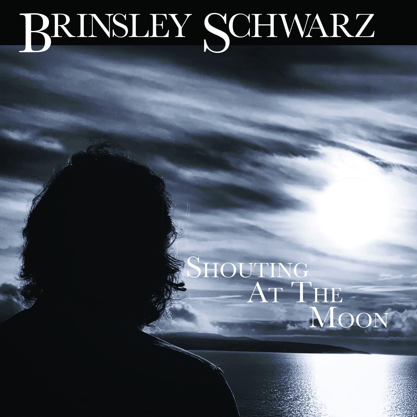 Shouting At The Moon [VINYL]
