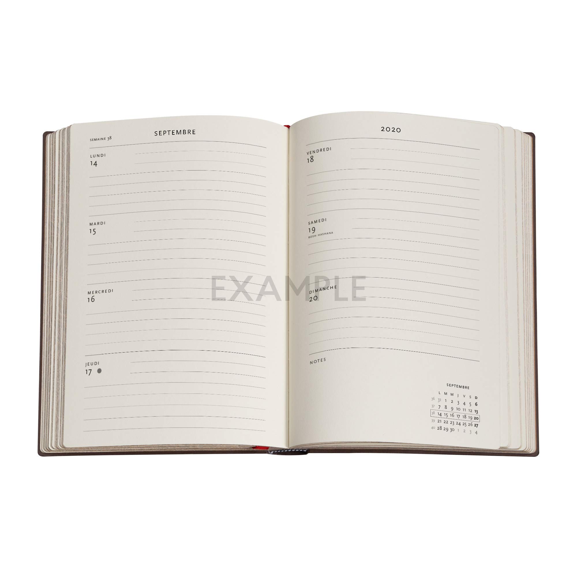 Plantilla De Planificador De Meses. Calendario En Blanco Para El Año