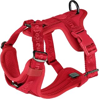 Lycra Hundegeschirr,Komfortweste Mesh,mit Zwei Schnallen (Burgunderrot, XS)