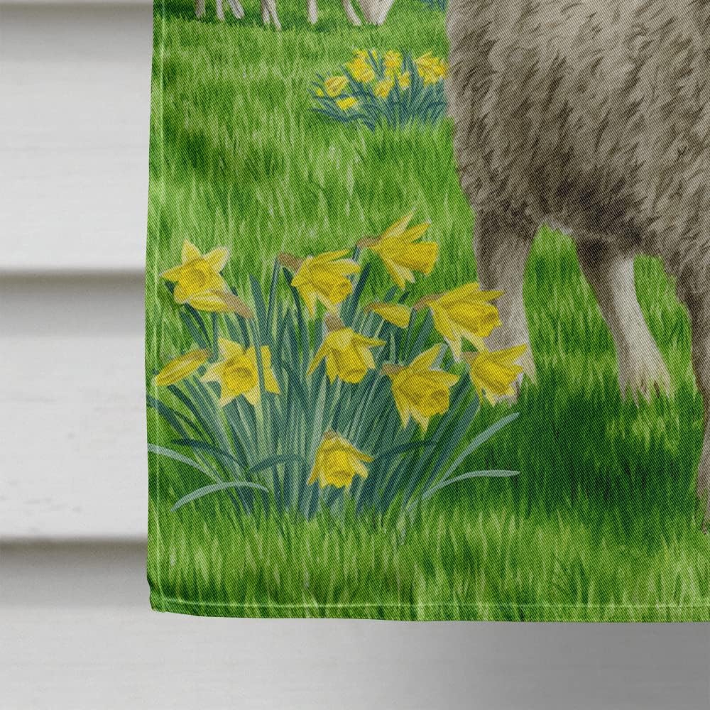 Caroline's Treasures ASA2024CHF Sheep House Flag Large Porch Sleeve Pole Decorative Outside Yard Banner Artwork Wall Hanging, Polyester, House Size, Multicolor
