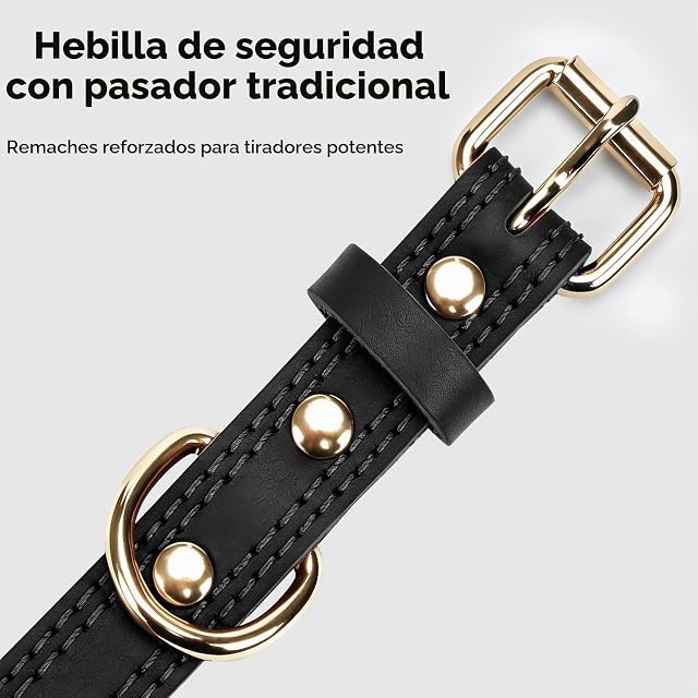Foto 5 de 6 de Joytale Collar Perro Cuero, Collar de Cuero para Perros medianos