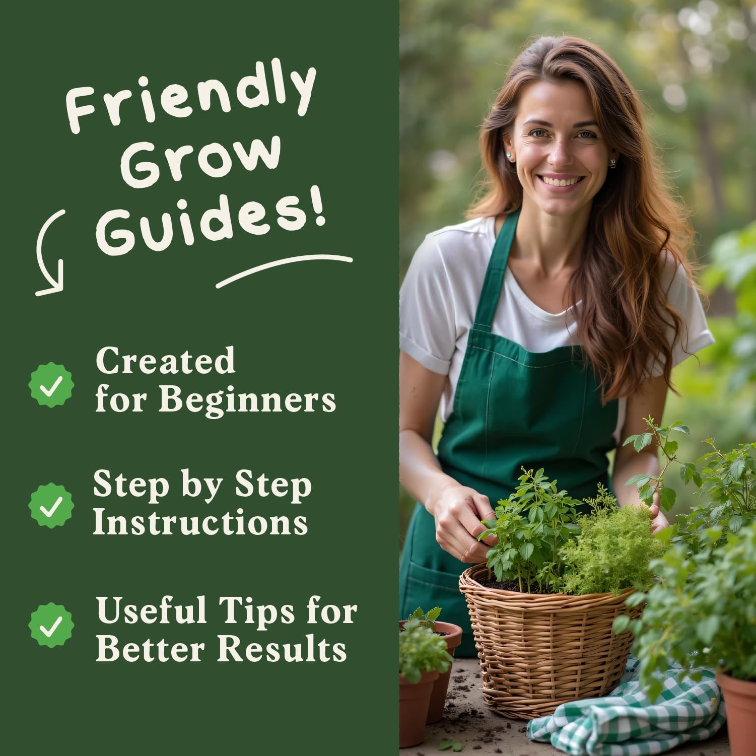 Seedboy Organic 5 Herb Variety Pack: Basil, Mint, Rosemary, Parsley, Cilantro for Planting Indoor and Outdoor, Non-GMO and USDA Certified Seed Packets (5 Herb Variety Pack)