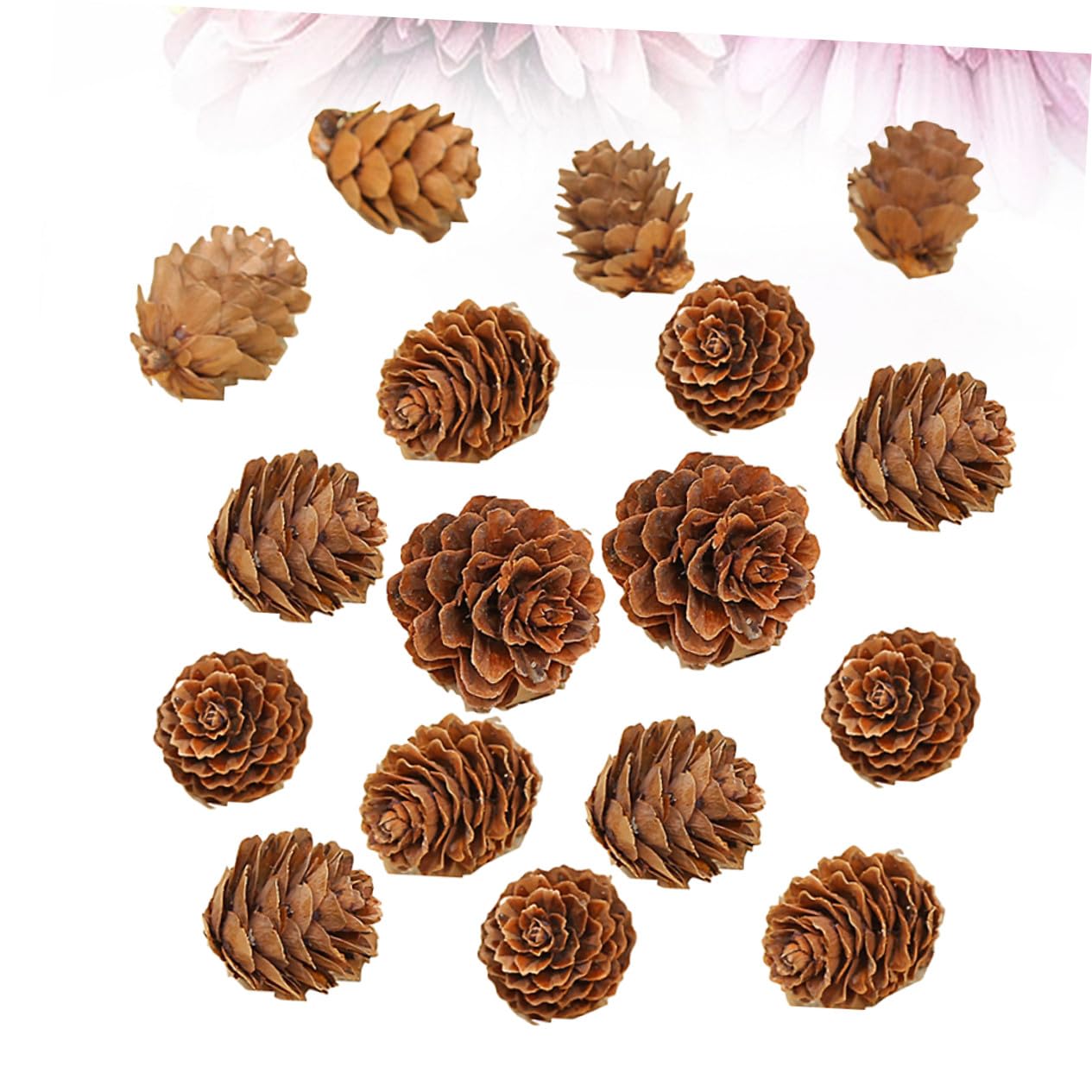 210 Piezas Mini Piñas Naturales Decoración Rústica para Navidad y Acción de Gracias Vegetal Dried Pine para Hogar