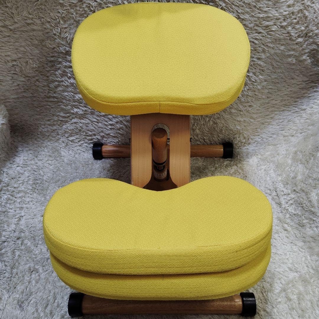 宮武製作所 プロポーションチェア バランスチェア クッション付き