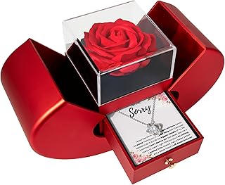FG Family Gift Mall Im Sorry Gifts For Her, Apology Gifts For Her, I Love You I'm Sorry Gift, Giant Sorry Forgiveness Necklace with Message Card and Gift Box