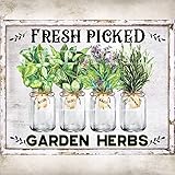 Carteles de estaño para jardín, hierbas frescas recogidas, tarros de bolas de masón, arte moderno de granja, arte de pared, decoración de corona, letrero de romero, menta, salvia, albahaca, 8 x 6