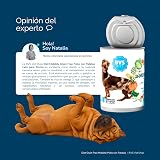 Ver la foto 8