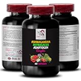 SWAN LIFE ESSENTIALS ADAPTOGEN Supplements - holy Basil Root, ashwagandha Daily Support, eleutherococcus senticosus Root Blend, maca Herbal Capsules, panax Ginseng Support, Astragalus Energy 1Bot
