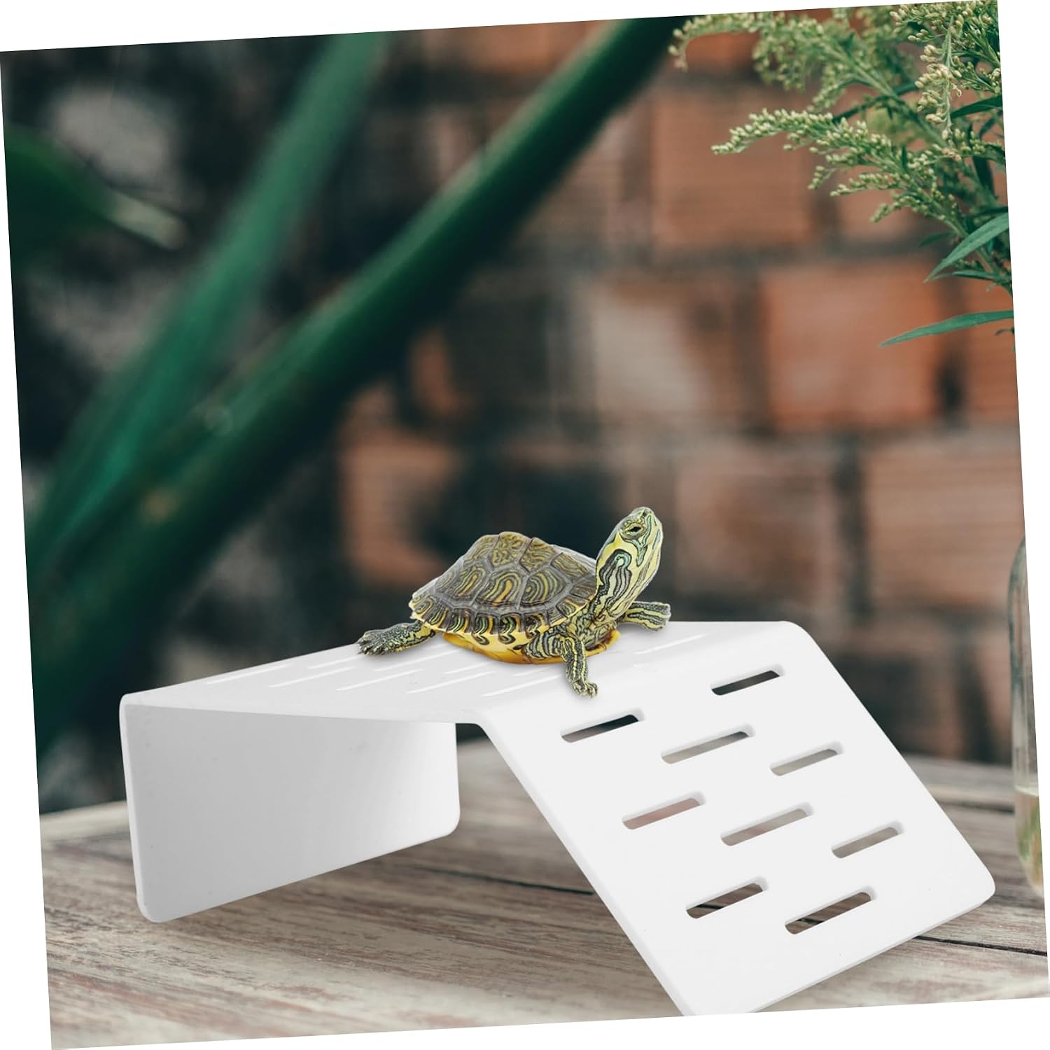 Turtle Hideout Aquarium Basking Platform Reptile Enclosure Multi-Functional Plastic Climbing Hill