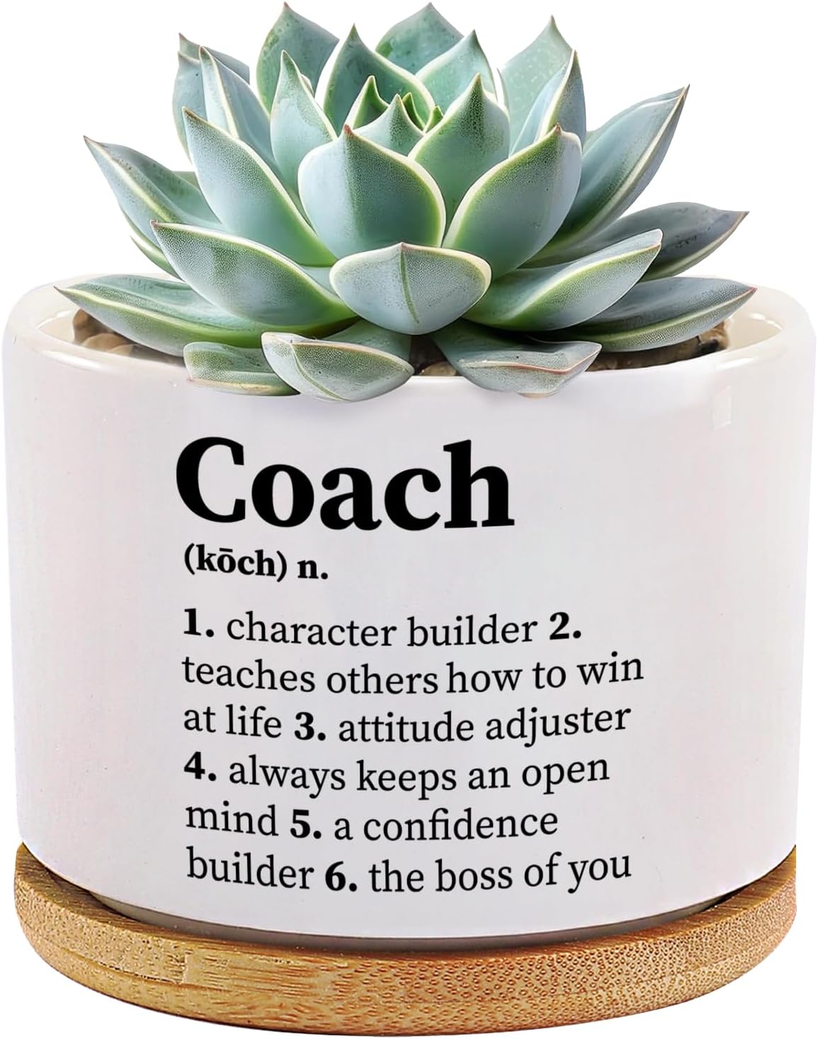 Coach Definition Coach Gifts for Sports Trainor Gym Instructor Mentor Volleyball Basketball Soccer Football Ceramic Succulent Plant Pot with Bamboo Tray Home Office Decor 3.5 Inch White (No Plants)