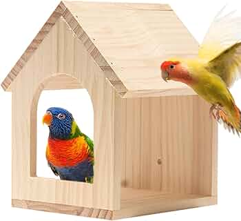 小鳥の巣の電tw19 小鳥の巣の電tw19