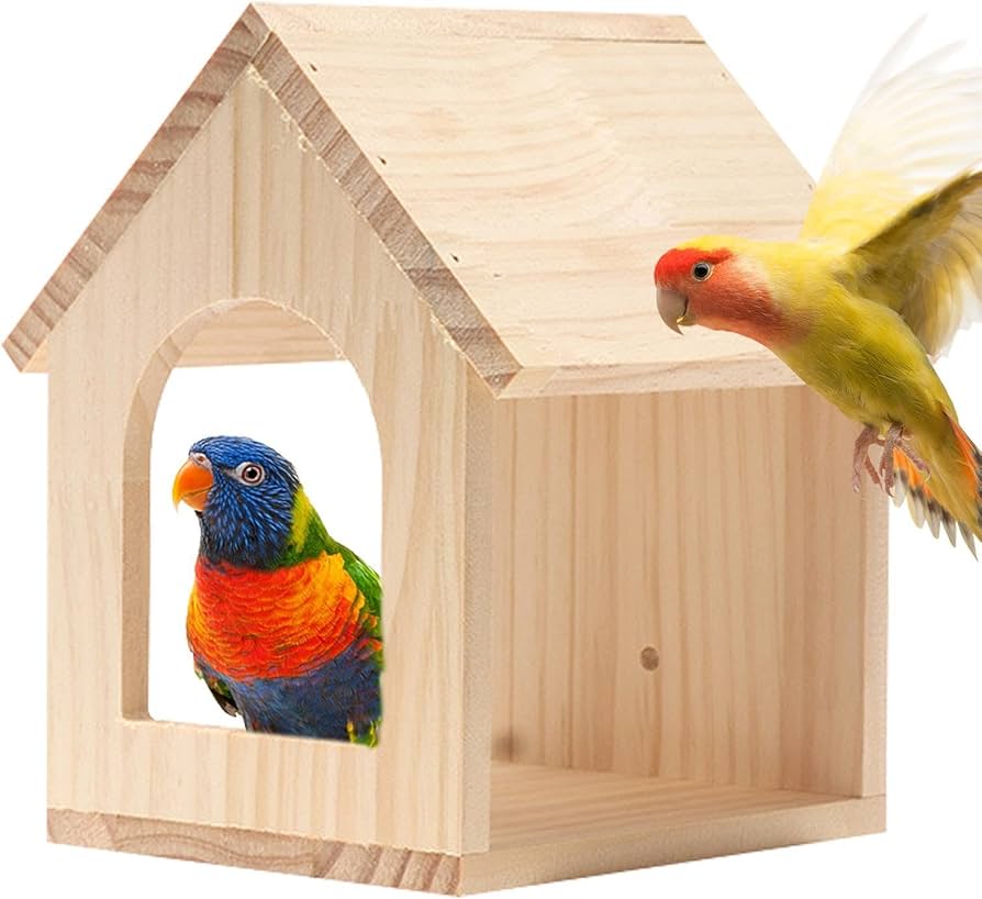 Amazon.co.jp: 鳥の巣箱、鳥の巣繁殖木箱、パイン材巣箱、耐久性があり