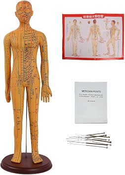 1/3 Human Body Acupuncture Model, 21 Human Acupuncture Point Mannequin with English Version of Acupoint Location Instructions for Education and Training