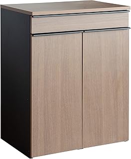 宮武製作所 ゴミ箱 ふた付き ブラウン幅60×奥行き42×高さ80cm スリム おしゃれ DB-F2200