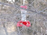 Review Image by Gen Gen