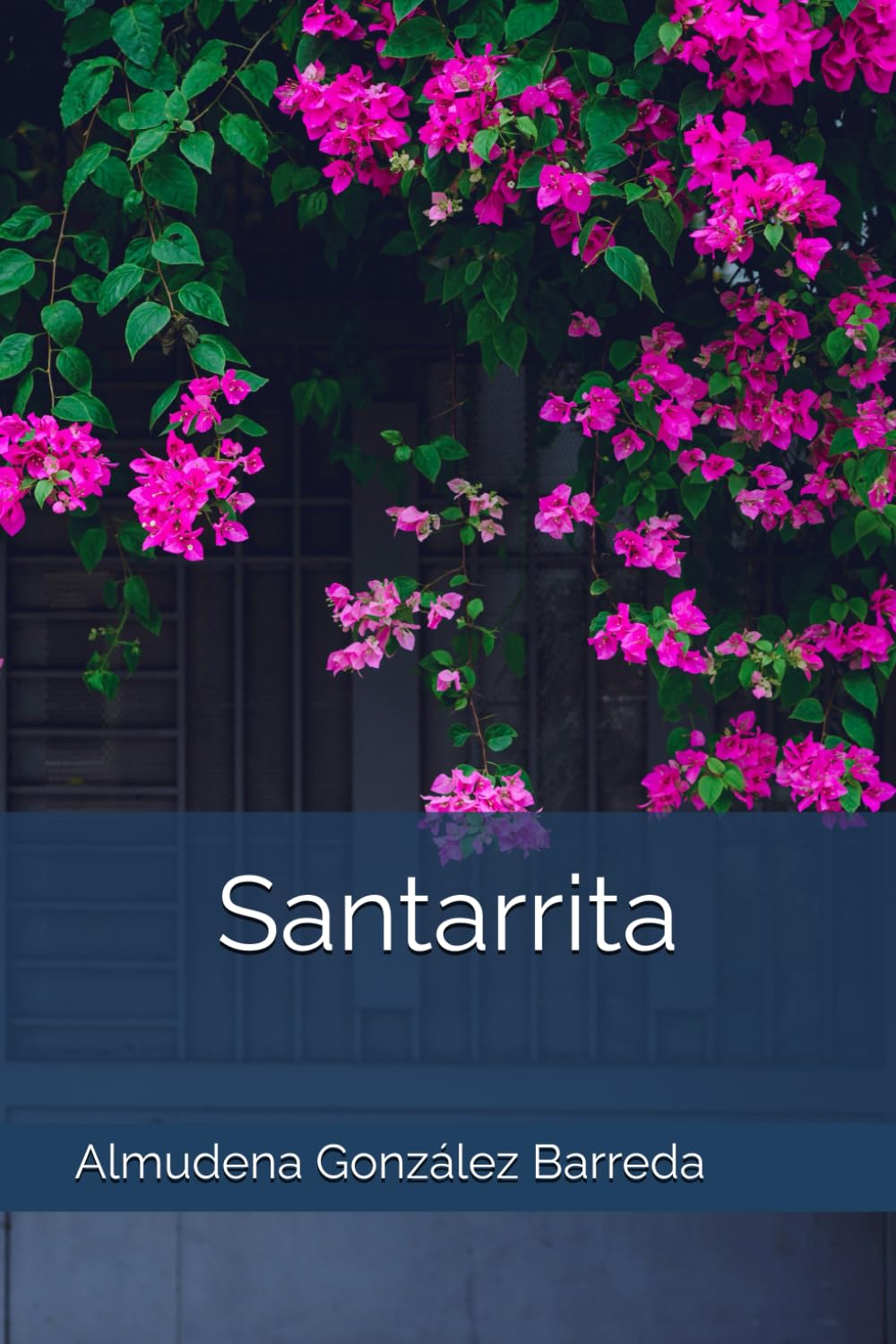 Santarrita (Spanish Edition)