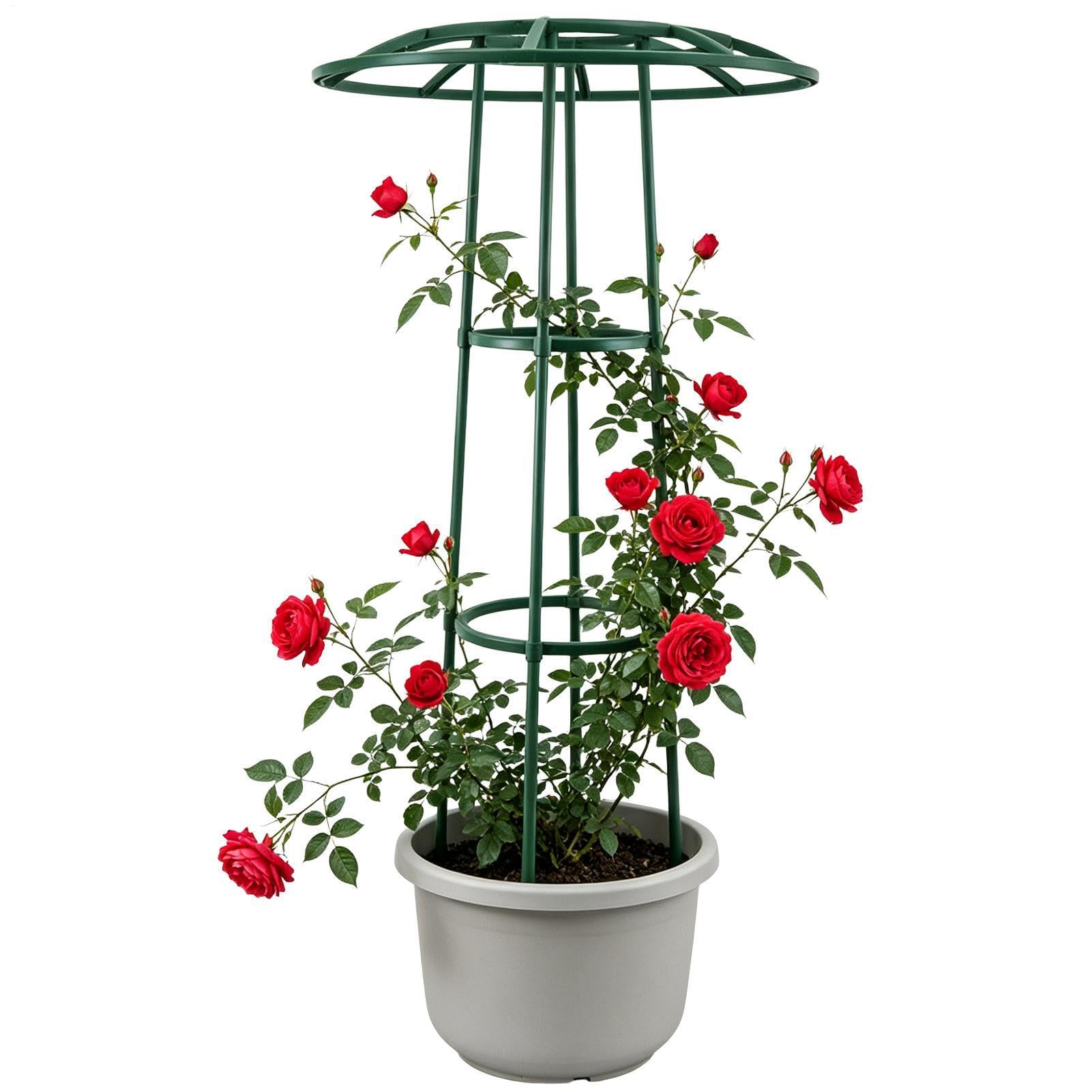 Soporte exterior para plantas trepadoras tipo paraguas y pepino