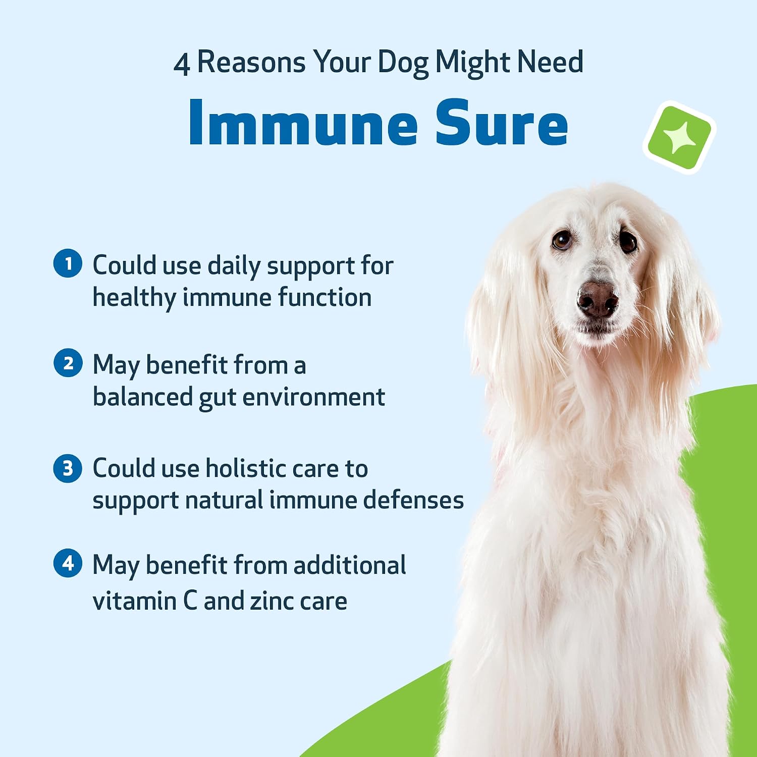 Pet Wellbeing Immune Sure for Dogs - Supports Normal Immune Defenses, Gut Flora Balance, Andrographis, Echinacea, Vitamin C, Zinc - Veterinarian-Formulated Herbal Supplement 4 oz (118 ml)