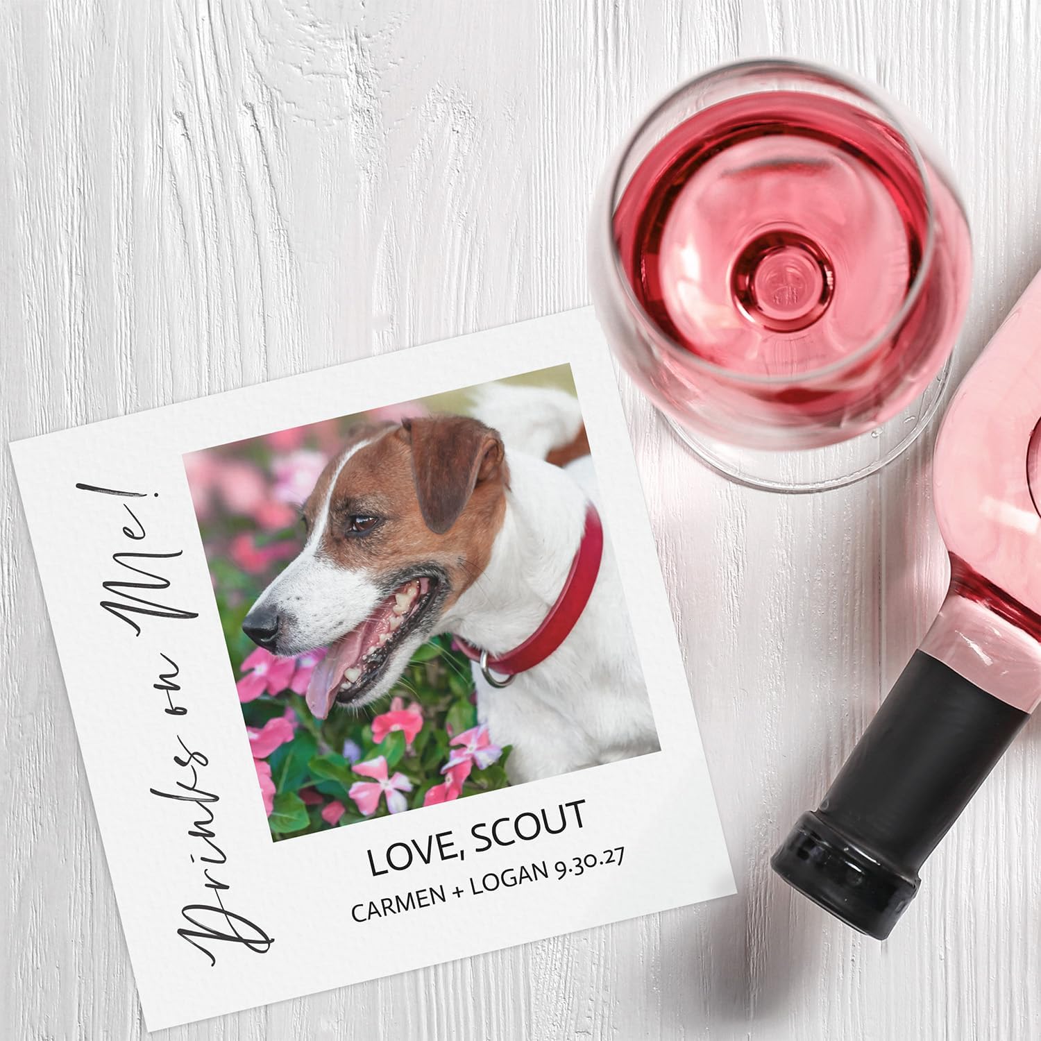 Personalized Drinks On Me Pet Photo Beverage Napkins / 100 Custom Dog Cat Picture Wedding Cocktail Napkins / 4 3/4" x 4 3/4" Square Anniversary Event Image Napkin/Specialty Birthday Engagement Party