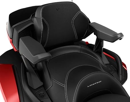Can-Am OEM Spyder Passenger Armrests, 219401181