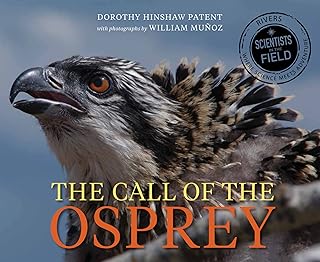 Call of the Osprey (Scientists in the Field)