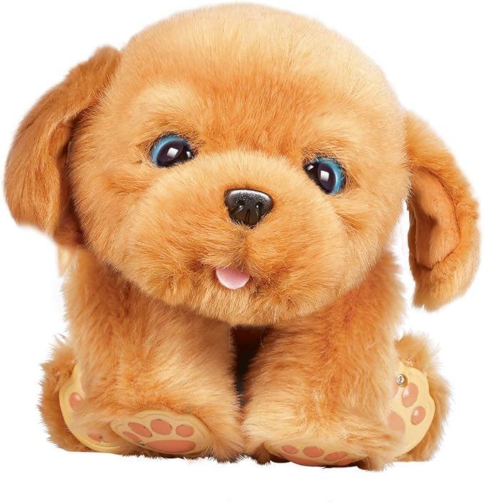 noodle puppy little live pets