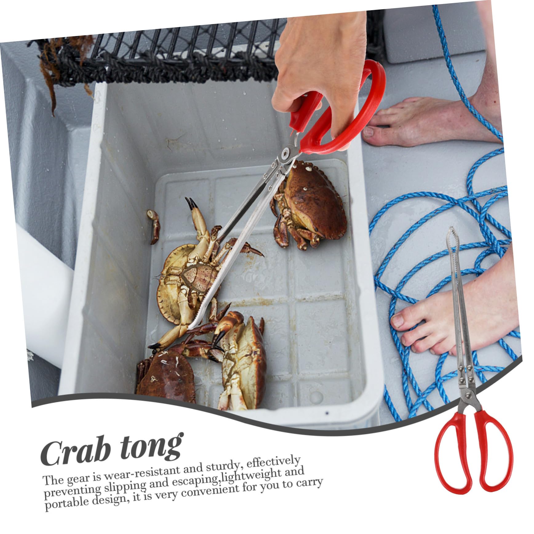 Pince à Crabes Pratique en Acier Inoxydable pour Pêche Mer