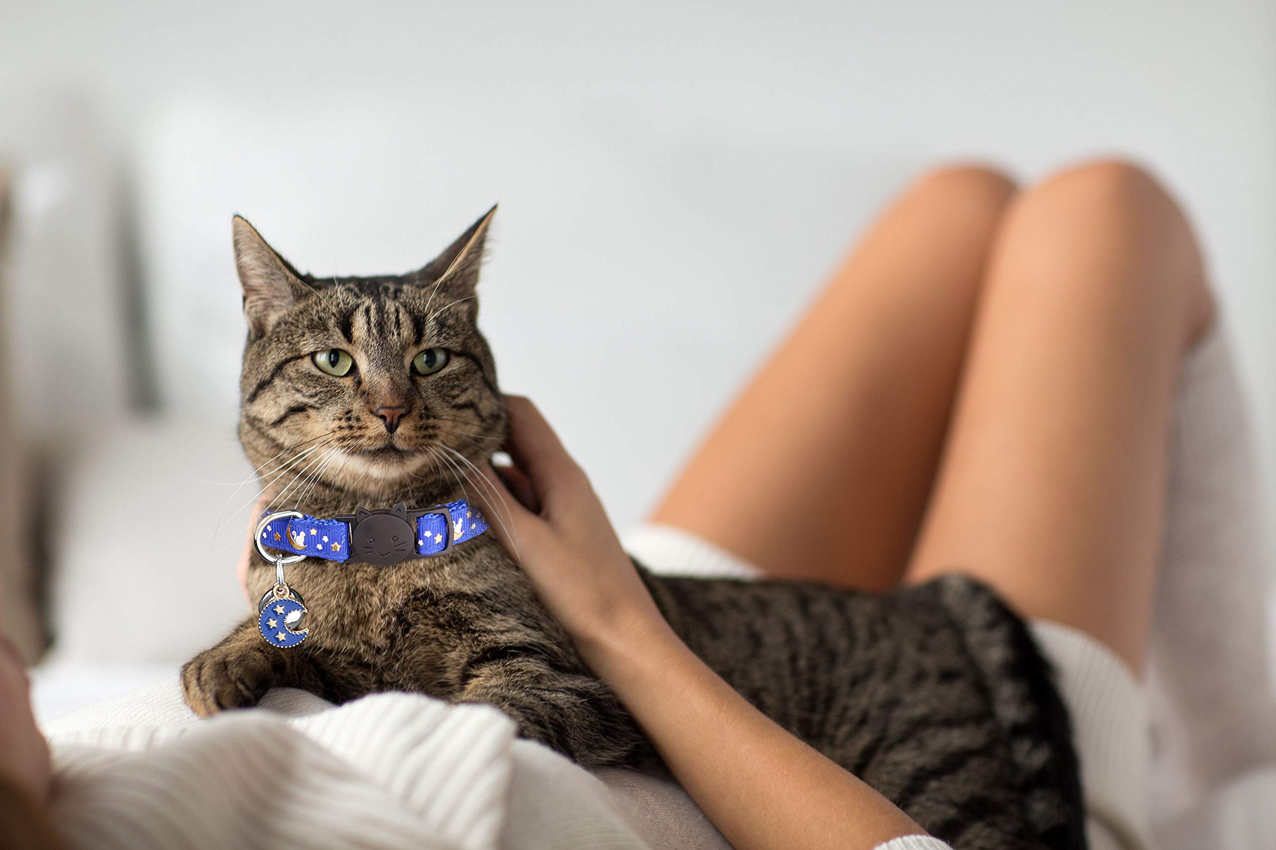 Katzenhalsband Mit Glöckchen & Leuchtfunktion – 2 Stück, Verstellbar, Breakaway-Schnalle | Sicherheitshalsband Für Katzen & Kleine Hunde