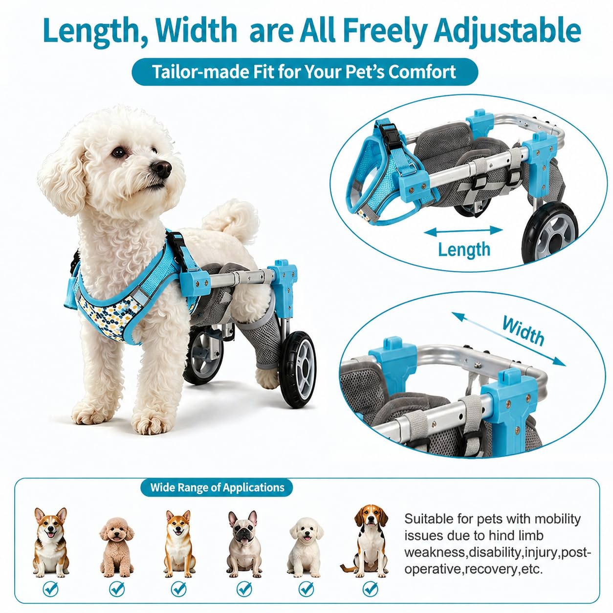 Carrellino per Cani, Supporto Zampe Posteriori, Ausilio Mobilità Regolabile Black-M | Con Supporto per Zampe Posteriori E Addome, Ideale per Cani E Gatti Con Lesioni O Problemi Di Mobilità