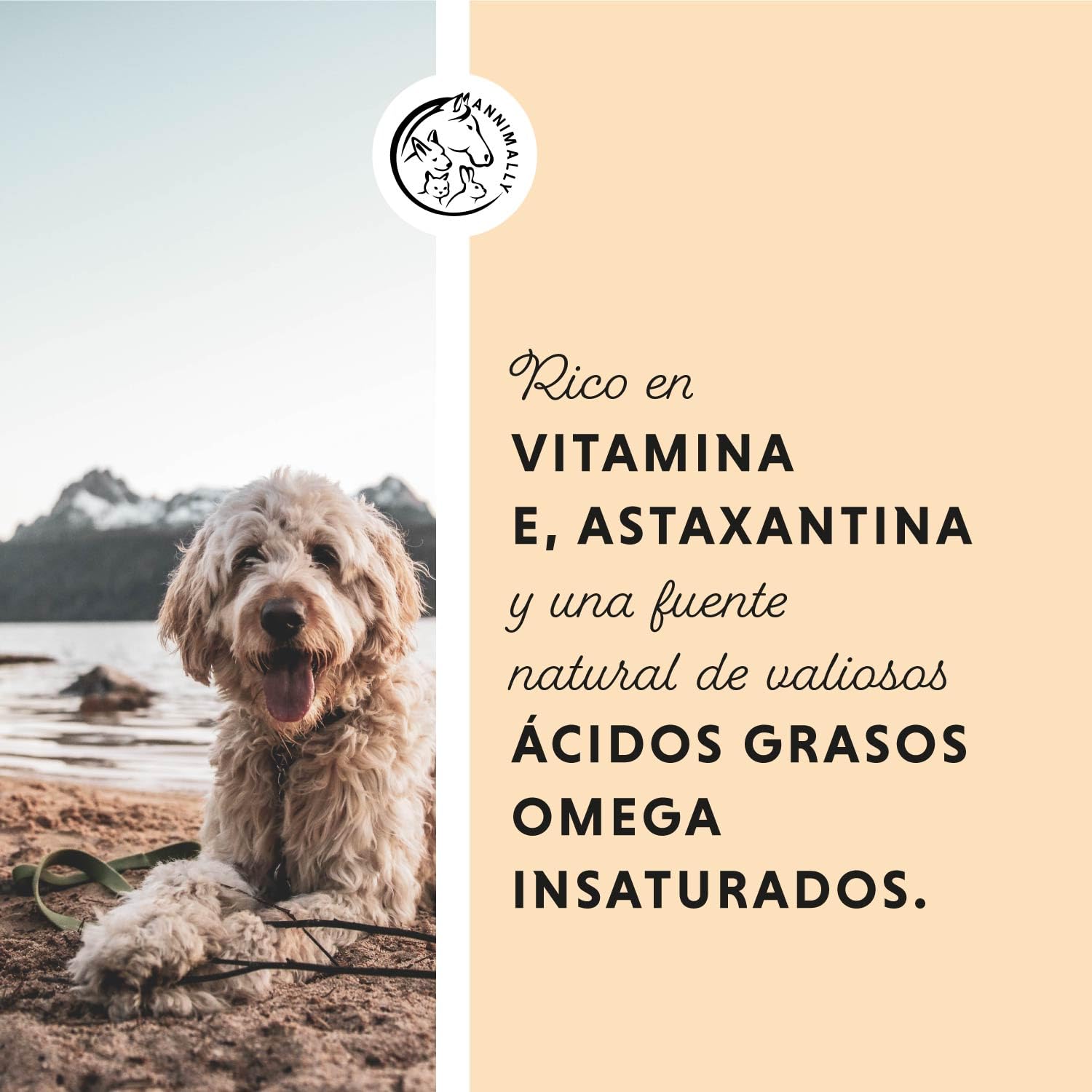 Annimally Aceite de Salmón Escocés para Perros, Gatos y Caballos 1 Litro - con 30% de Ácidos Grasos Omega 3 y 6 - Aceite de Pescado para Dieta Barf - Producto Natural Puro