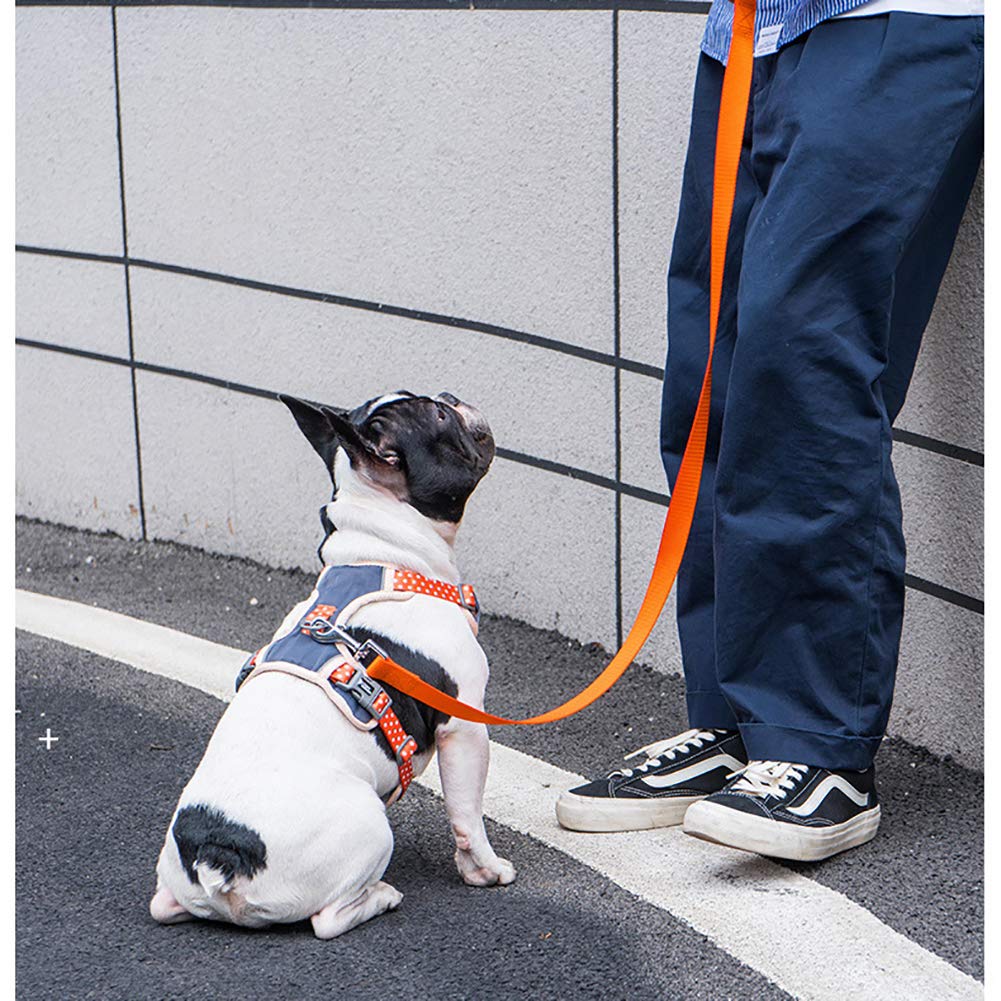 No Tire Arnés para Perros Pequeño Mediano Grande, Arnés Reflectante para Cachorros Chaleco para Mascotas Arnés Acolchado Ajustable para Entrenamiento Caminar (Incluye Correa Gratis),M