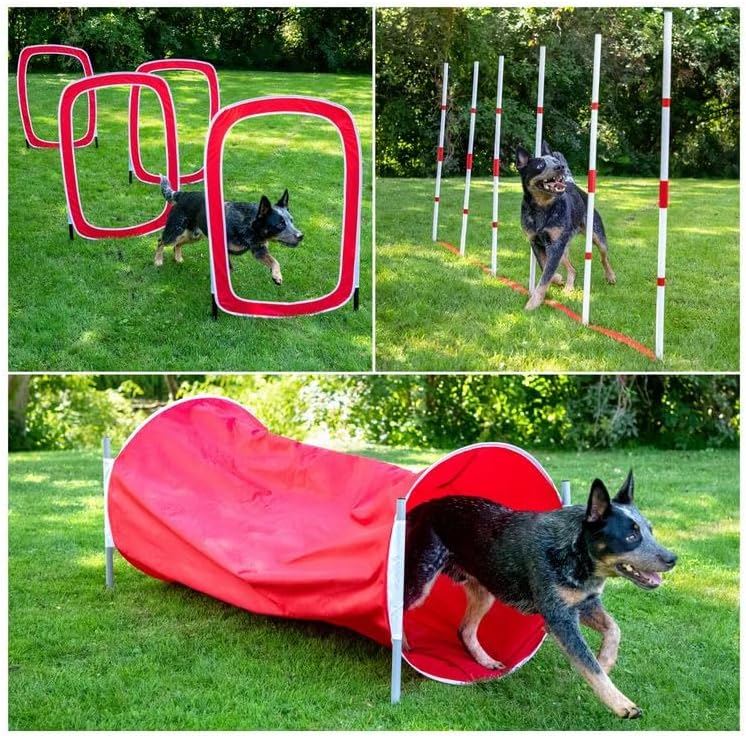 6-Piece Large Agility Training for Dogs - Affordable Training Kit for Dogs, red (CM-10026-CS01)