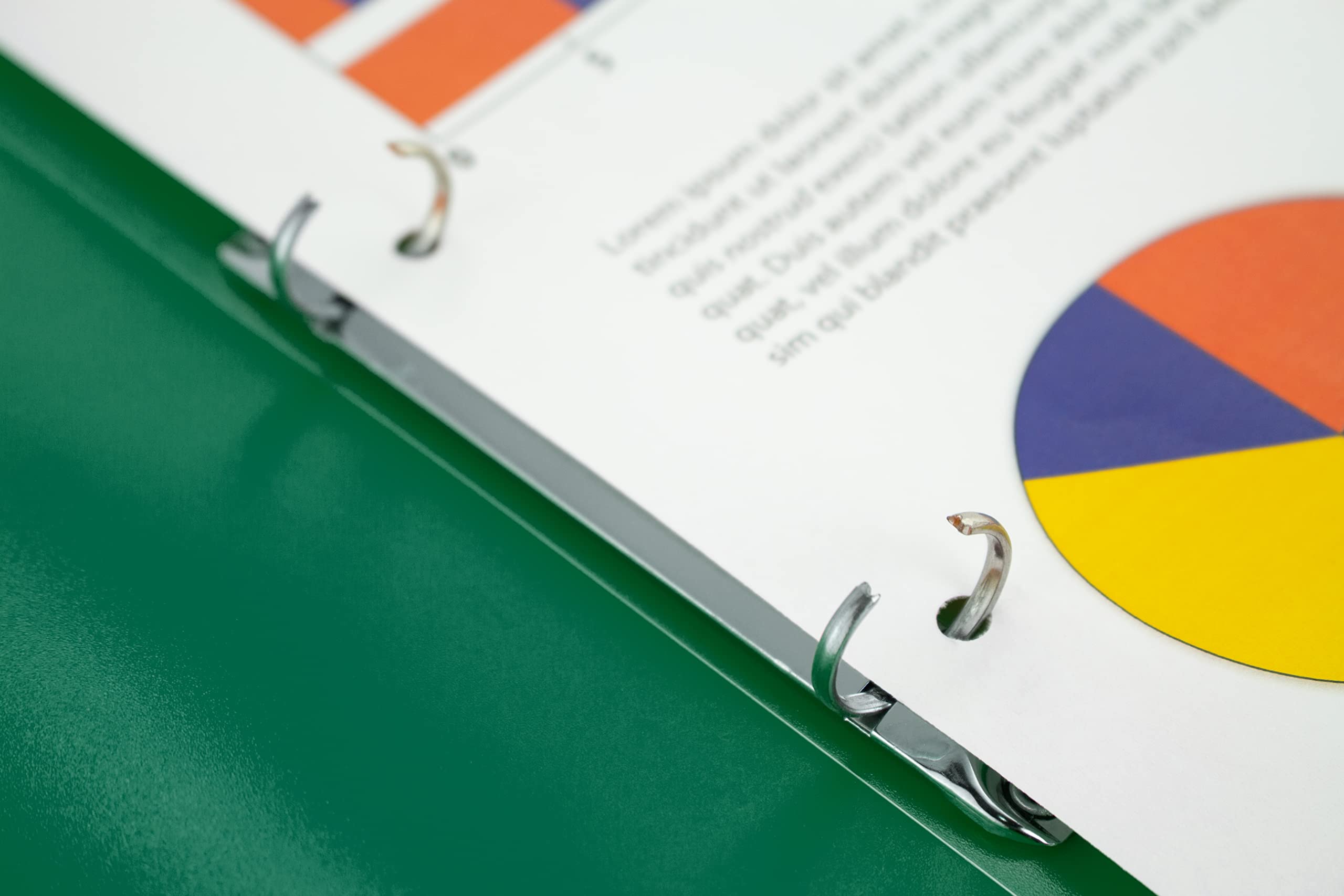 Kangaro Ring Binder, Format A4, 2 Rings O-Mechanism, Capacity 25 mm, Material PP, Colour Green Transparent - Image 3