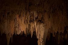 Review Image by Derek Derek