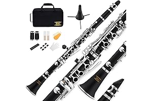 Professional Clarinet for Beginners, Eastar ECL-300