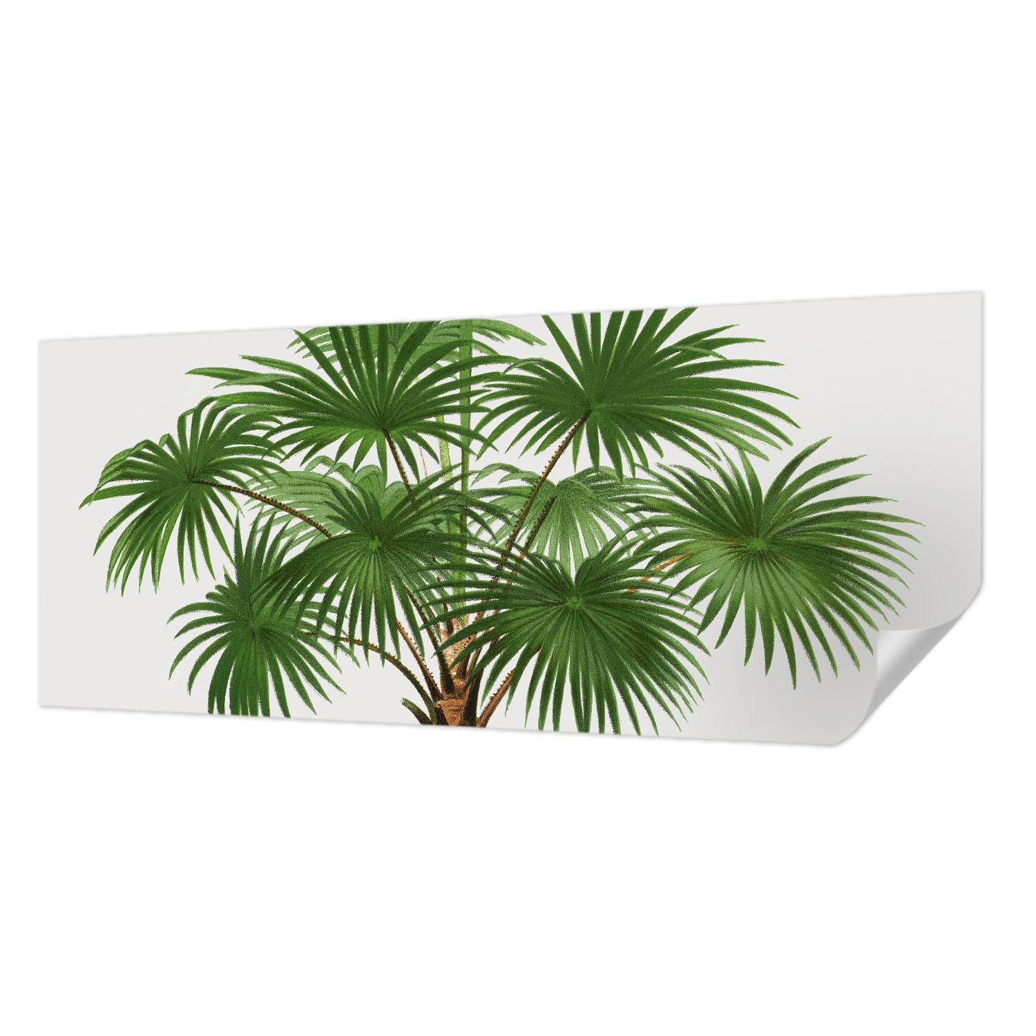 Papier peint exotique anti-tache et facile à poser 250x104 cm Tulup décoration murale