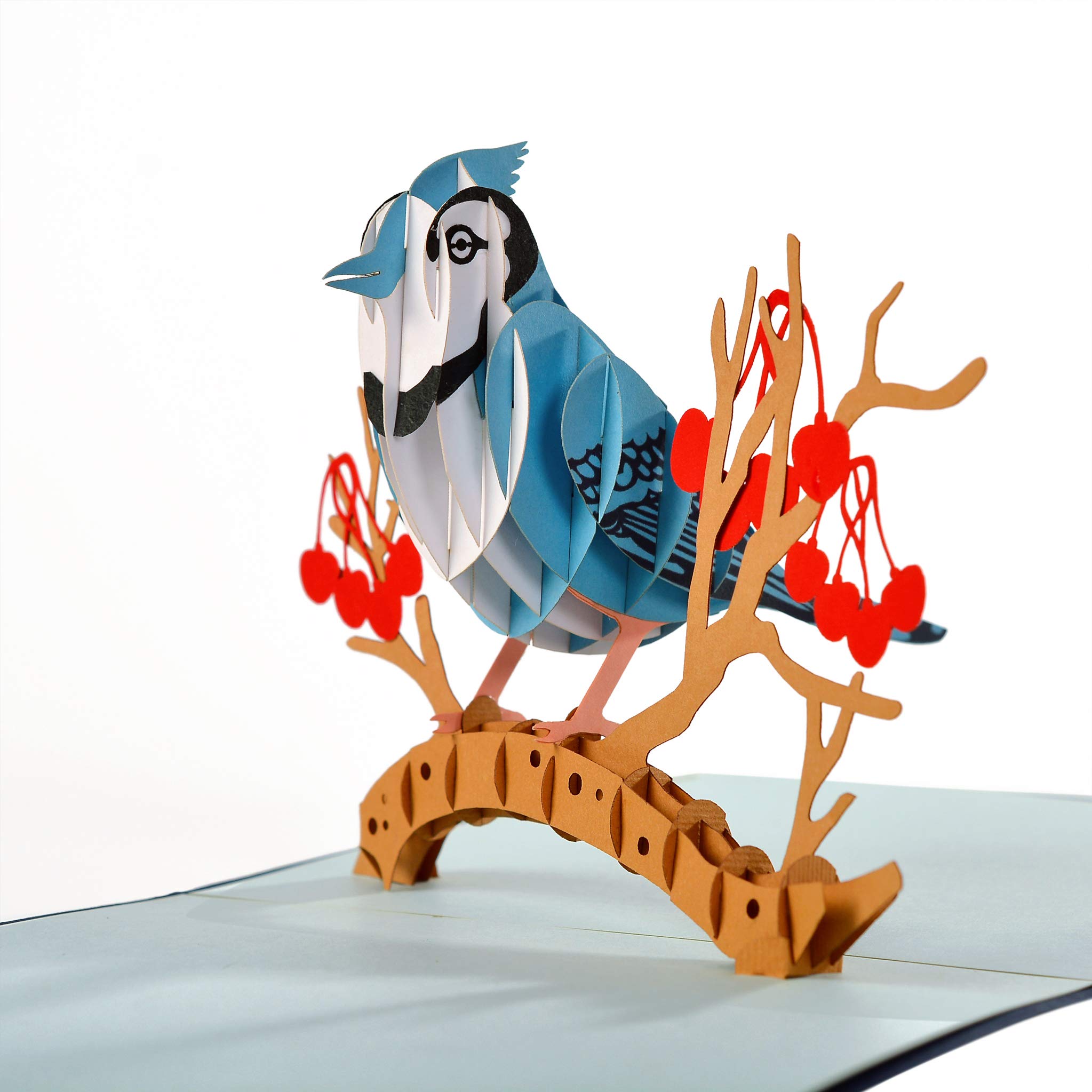 CUTE POPUP - Birthday Card with 3D Unique Blue Jay Bird Design, Greeting Cards, Mothers Day Card - The Perfect Handmade Present for Birders, Family, Friends on any Holiday, Occasion