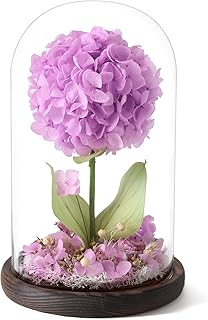 Forever Hydrangea in Glass Dome,Real Preserved Flowers Gifts Christmas Birthday for Grandma Women Mom Wife/Purple Hydrangea