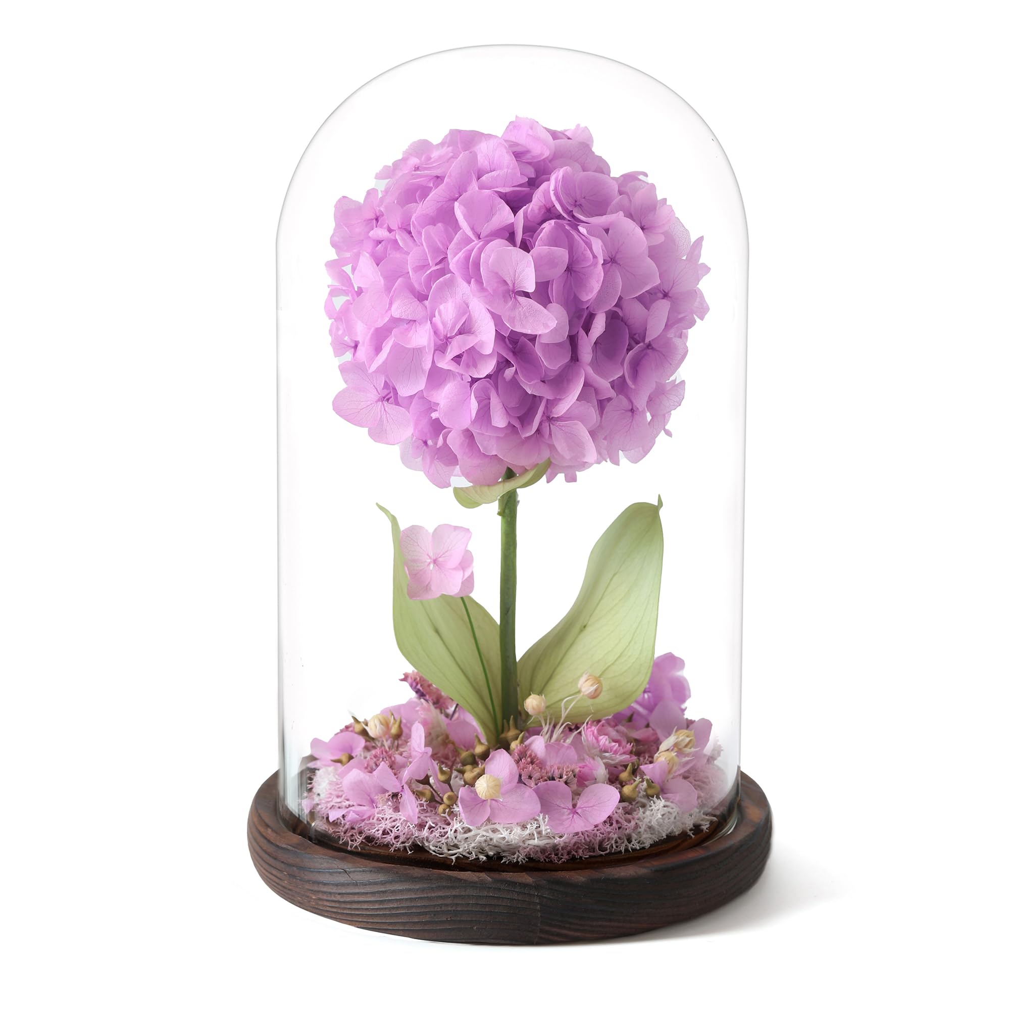 Forever Hydrangeas in Glass Dome
