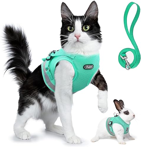 Supet Juego de arnés y correa para gatos y perros pequeños, arnés de malla suave, arnés ajustable para gatos con correa reflectante, ajuste cómodo Supet Juego de arnés y correa para gatos y perros pequeños, arnés de malla suave, arnés ajustable para gatos con correa reflectante, ajuste cómodo