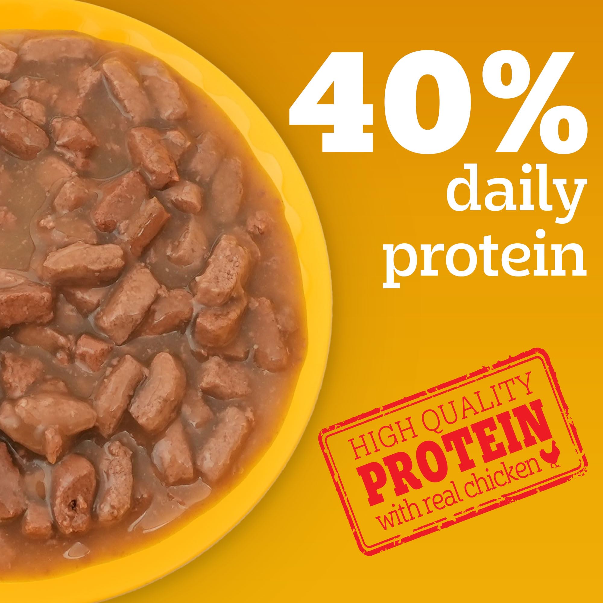 Pedigree Adult Wet Dog Food, Chicken & Liver Chunks in Gravy, 70 g (Pack of 60), Complete & Balanced Meal for Adult Dogs