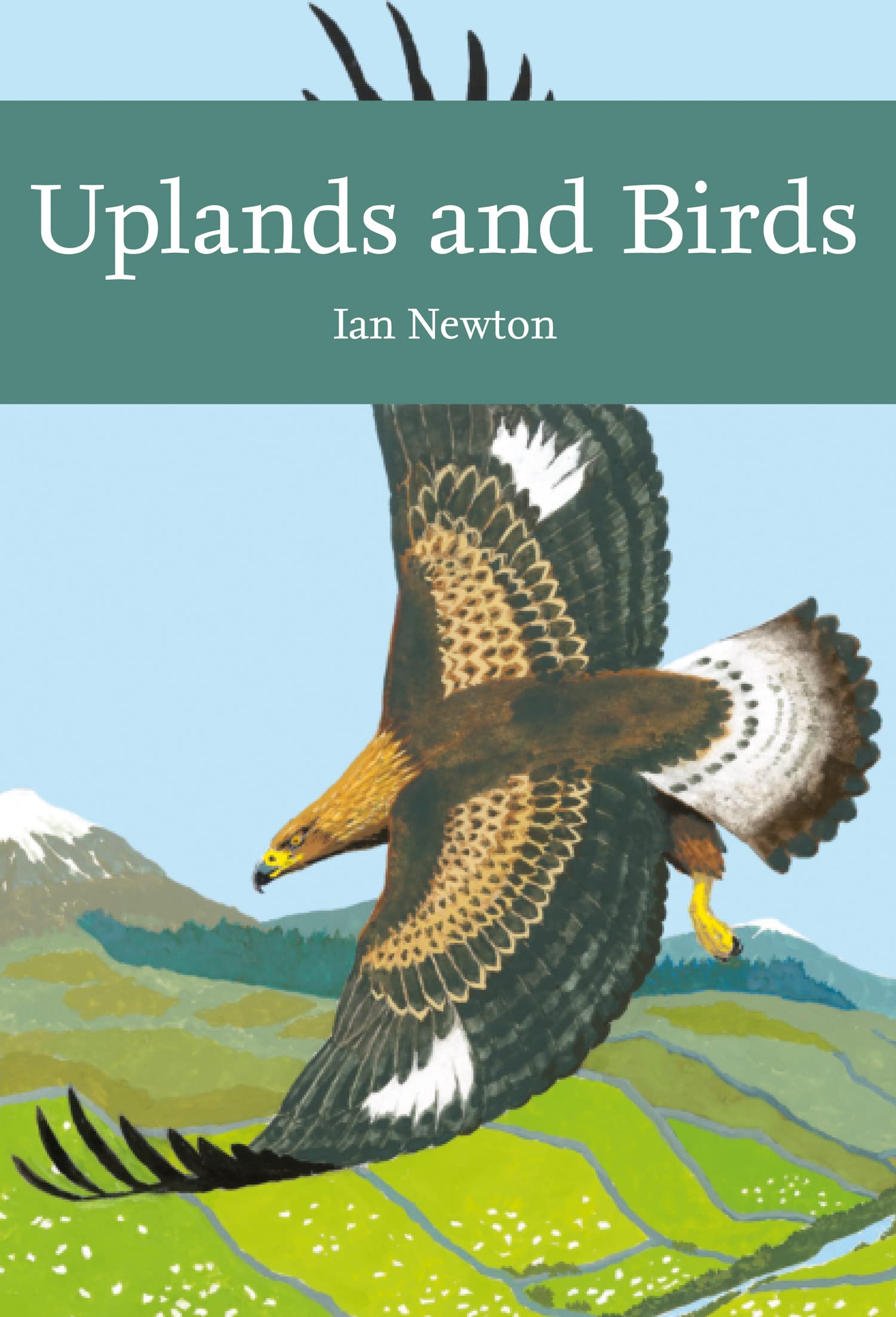 Uplands and Birds: A Natural History of British Wildlife and Ecosystems: Book 142 (Collins New Naturalist Library)