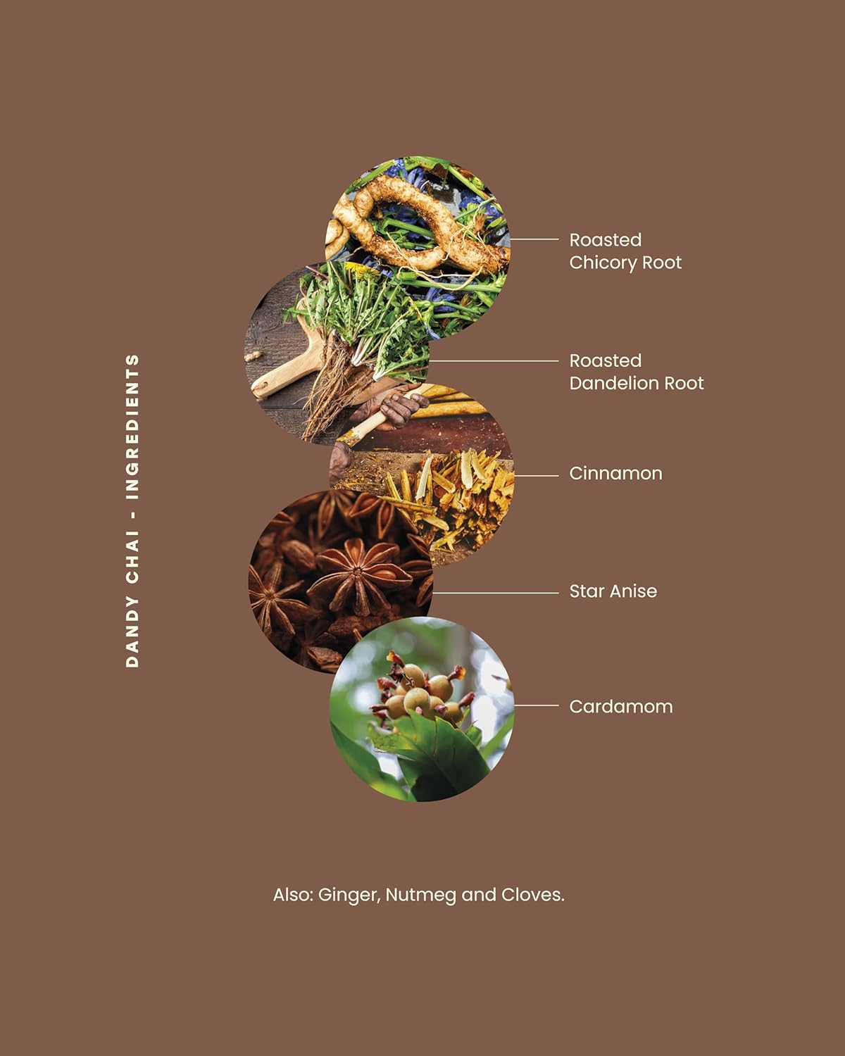 Kintra Foods Loose Leaf Dandy Chai Herbal Tea Jar, 150g | Dandy Blend Instant Herbal Beverage with Dandelion | Spiced Dandelion Root Herbal Infusion, Warming & Digestive Support Blend | Caffeine Free Herbal Tea, No Additives, No Sugar